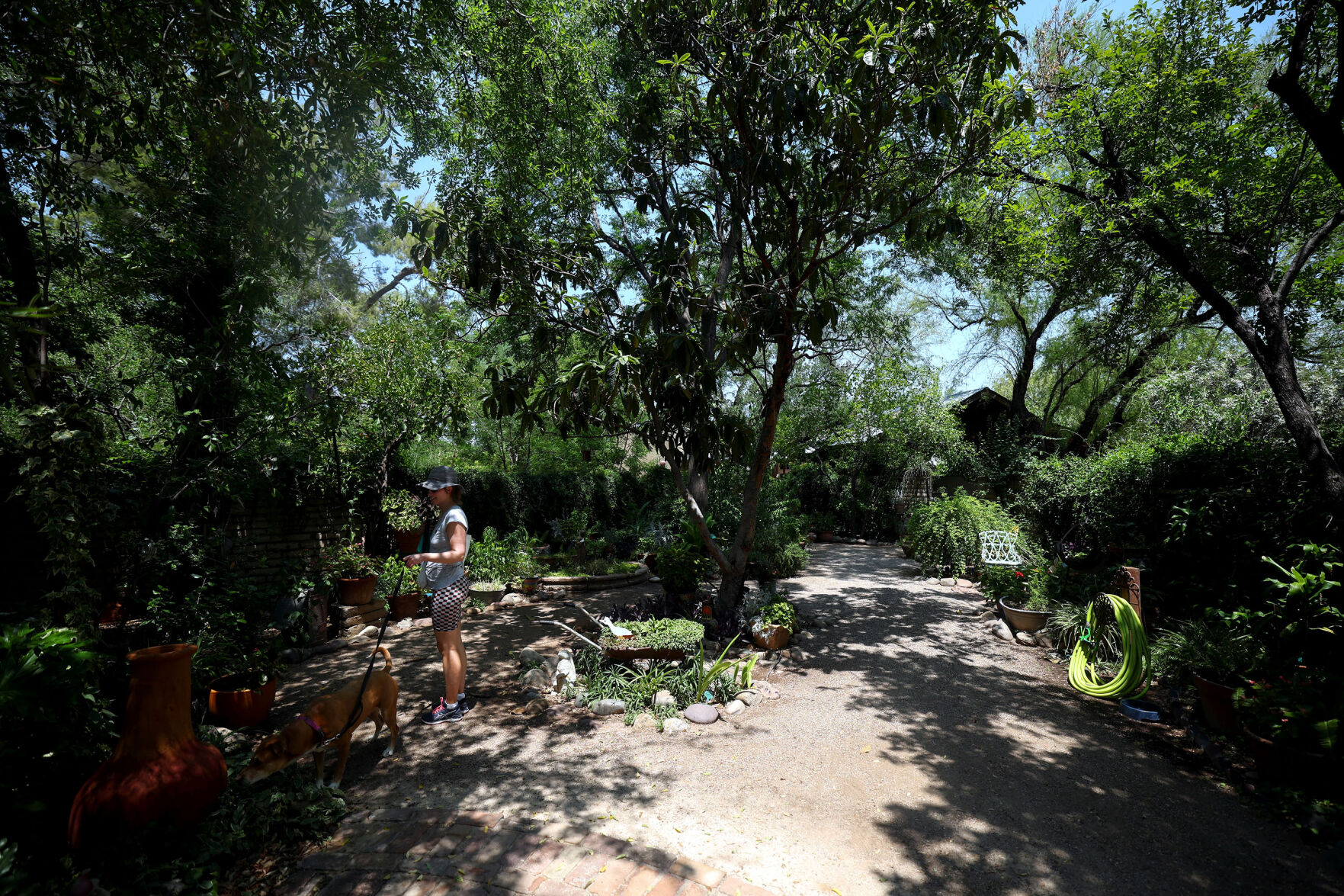 Botanical Gardens